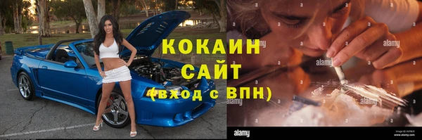 ПСИЛОЦИБИНОВЫЕ ГРИБЫ Арсеньев