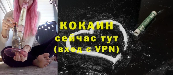 ПСИЛОЦИБИНОВЫЕ ГРИБЫ Арсеньев